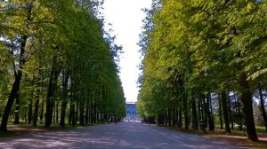 Приморский парк победы СПб | Петроградский район Санкт Петербург #паркпобеды #петроградка #спб