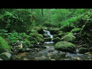 Восстановить Репутацию