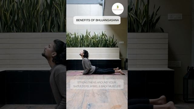 Yoga Series - 5 Benefits of Bhujangasana (Cobra pose) #shorts