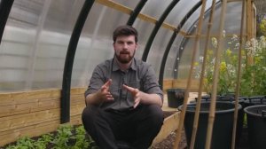 Удивительный способ использования КРАПИВЫ для улучшения успеха рассады