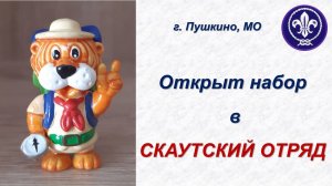 Скауты_Пушкино. Открыт набор