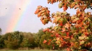 ЭТА ОСЕНЬ...  сл. Владимира Лугового, муз. Геннадия Гладкова, исп. #СамуилФрумович.wmv