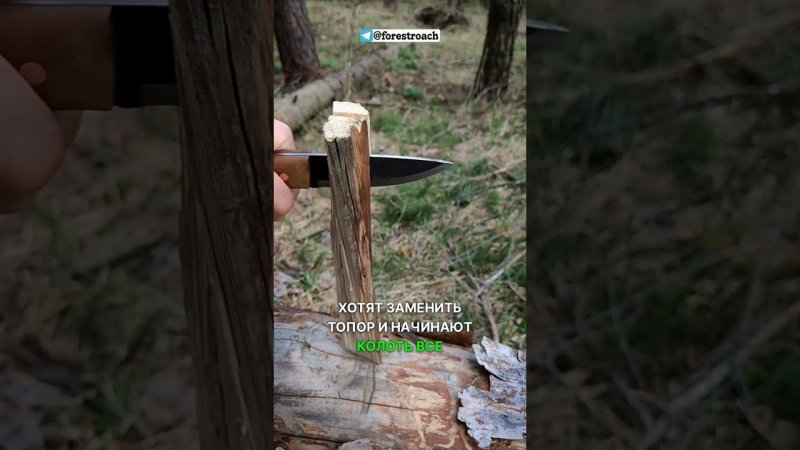 ПЕРЕСТАНЬТЕ БАТОНИТЬ НОЖОМ! #бушкрафт #выживание #нож #bushcraft #knife #survival #forest