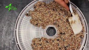 Козинаки из кунжута и льна, вкусный и полезный перекус для всей семьи