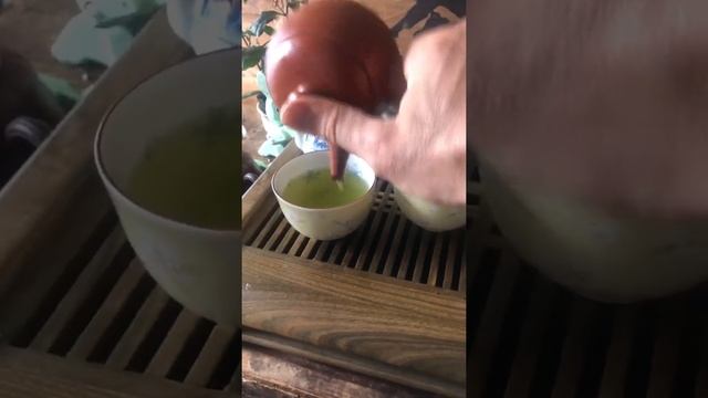 Зелёный японский чай сенча из префектуры Сидзуока. Сорт асанока. Первый сбор, май 2022. смотреть онлайн