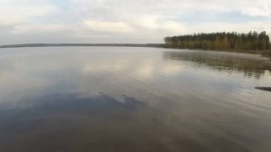 Тест спиннинга Mikado Sensei Feeling 2,4m, до 12гр. Резина AKOI LIVE. Десногорское водохранилище