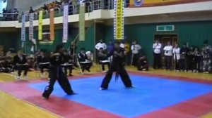 Hapkido sevilla 2010 (Korea)