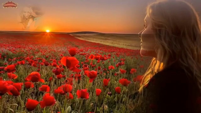 Мамой клянусь Огурцы сажал. Гио Пика - Номер 228 смотреть онлайн