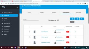 Настройка системы дальней идентификации транспорта RFID PAL-ES SG333GA и PAL-ES SG334GA