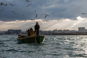 Какая рыба в Черном море может исчезнуть
