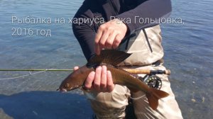 Камчатка хариус. Ловля хариуса на Камчатке. Kamchatka grayling.