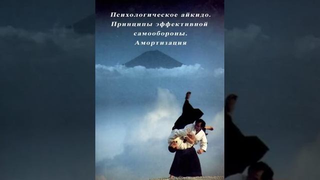 Психологическая самооборона. Принцип амортизации.