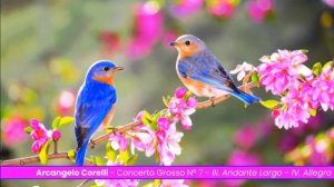 Arcangelo Corelli - Concerto Grosso Nº 7