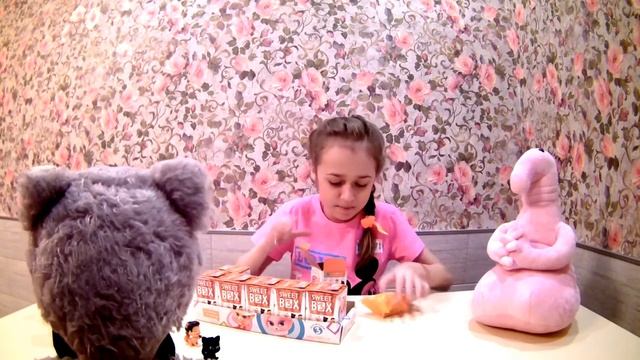 КОТИКИ ПУШИСТИКИ  СОБРАЛИ ВСЮ КОЛЛЕКЦИЮ  SWEET BOX