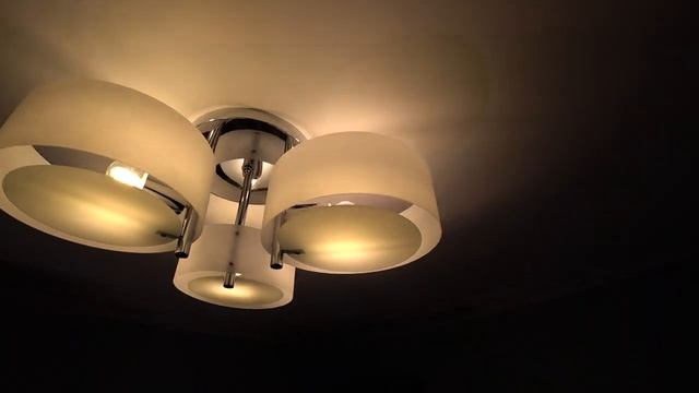 Потолочная люстра EVOLUCE SL483.502.03 Foresta смотреть онлайн