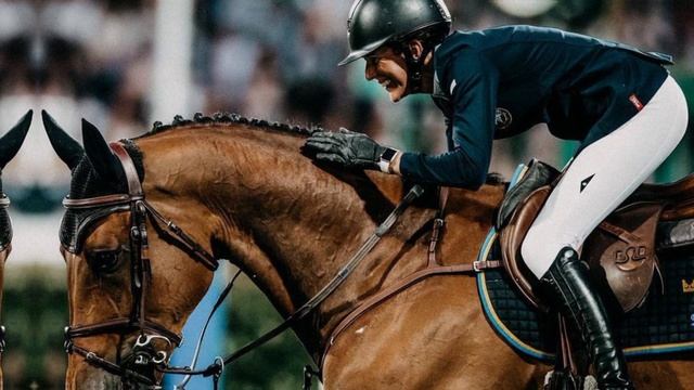 Что выбрать? Конкур или выездку? смотреть онлайн