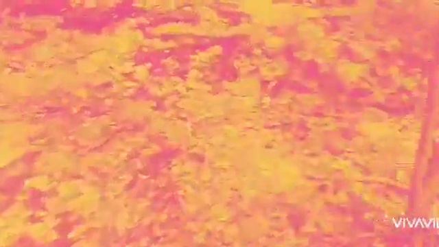 ОНО 3 смотреть онлайн