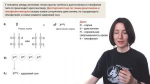 Задача 28 с двумя вариантами сцепления генов из ЕГЭ по биологии | ЕГЭ-2024 по биологии