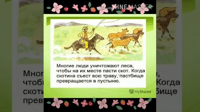 Что такое экология?