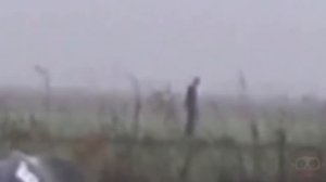 20 НЕИЗВЕСТНЫХ СУЩЕСТВ, СНЯТЫХ НА КАМЕРУ! Часть 1