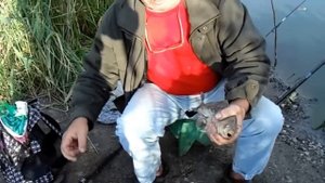 Великая Знаменка. На рыбалке. Ловим карасей