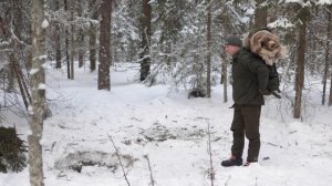 3-х Дневный Одиночный БУШКРАФТ Поход -20°C - Плащ Палатка - Говяжья Рулька на Костре