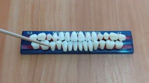 Зубы: строение, порядок расположения и сроки прорезывания зубов