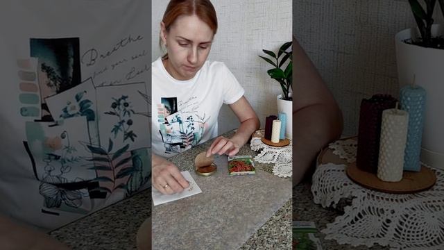 Подготовка семян томатов к посеву. Проращивание семян.