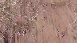 Обзор (покупателем). садово-огородного рыхлителя КРОТЧЕЛ он же КРОТ м