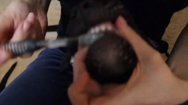 Чистка зубов. Питбуль. #питбуль #собаки #животные смотреть онлайн