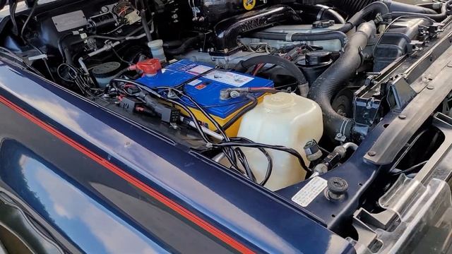?Ford Maverick TD42 Freshly Turboed Safely at Berrima Diesel ? смотреть онлайн