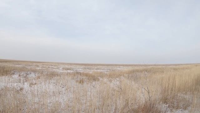 ОХОТА НА ДИКОГО КАБАНА !