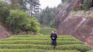 Вся правда о Да Хун Пао и Уишаньских улунах | поездка в Уи шань | что такое утёсные улуны