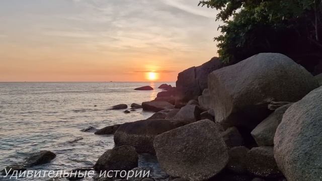 Свекровь гневно сверкала глазами, выгоняя невестку, а Алина в слезах собирала вещи. Но спустя 10 ле смотреть онлайн