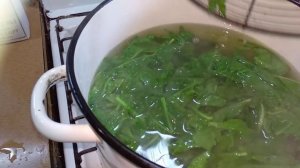 Заготовка ботвы редиски на зиму.