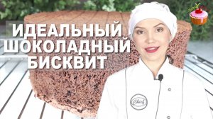 Очень ВКУСНЫЙ БИСКВИТ для Торта Пошаговый Рецепт Шоколадного БИСКВИТА. Бисквит для шоколадного торта