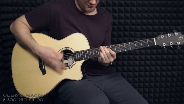 Электроакустика BATON ROUGE AR101S/GACE