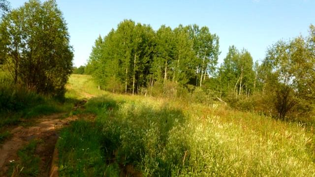 Релакс