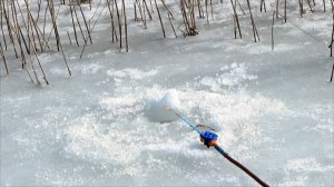 Рыбалка 15 марта на плотву со льда