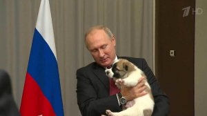 Президент Туркмении Гурбангулы Бердымухамедов подарил Владимиру Путину щенка алабая