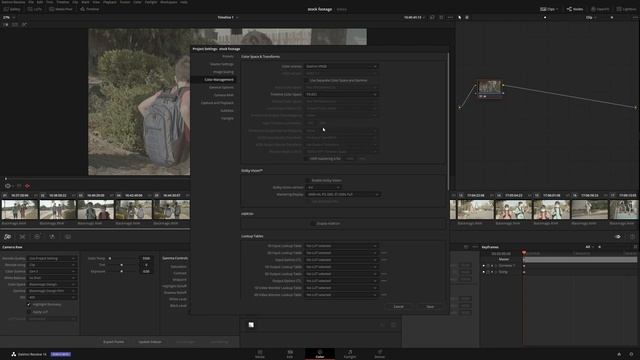 Beginner Guide To RAW Settings in Resolve | Copy and Paste or Global Settings смотреть онлайн