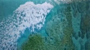 Телевизор Leff 32H110T