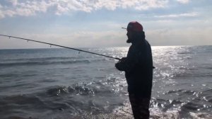 Морская рыбалка в Турции, Мерсин