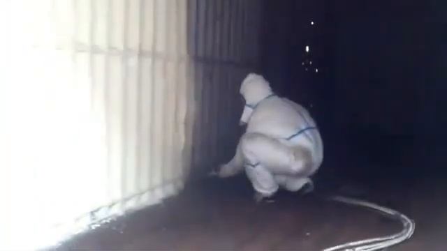 Утепление пенополиуретаном ППУ в Новосибирске железного контейнера смотреть онлайн