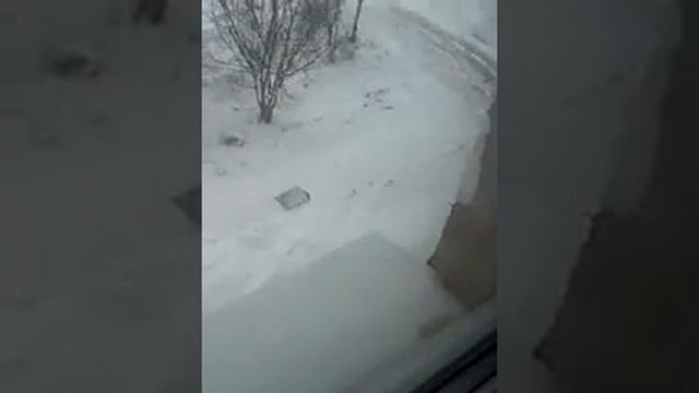 2 декабря метель город Амурск