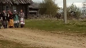 Гулянья на Троицу в Шелотах Верховажского района Вологодской области (4 июня 2017)