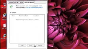 Fix ws2_32.dll error in Windows 7