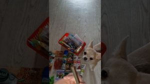 вкусняшки чихуахуа Bony/ лакомства/ вкусности🍗