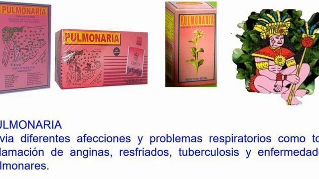 Pulmonaria смотреть онлайн