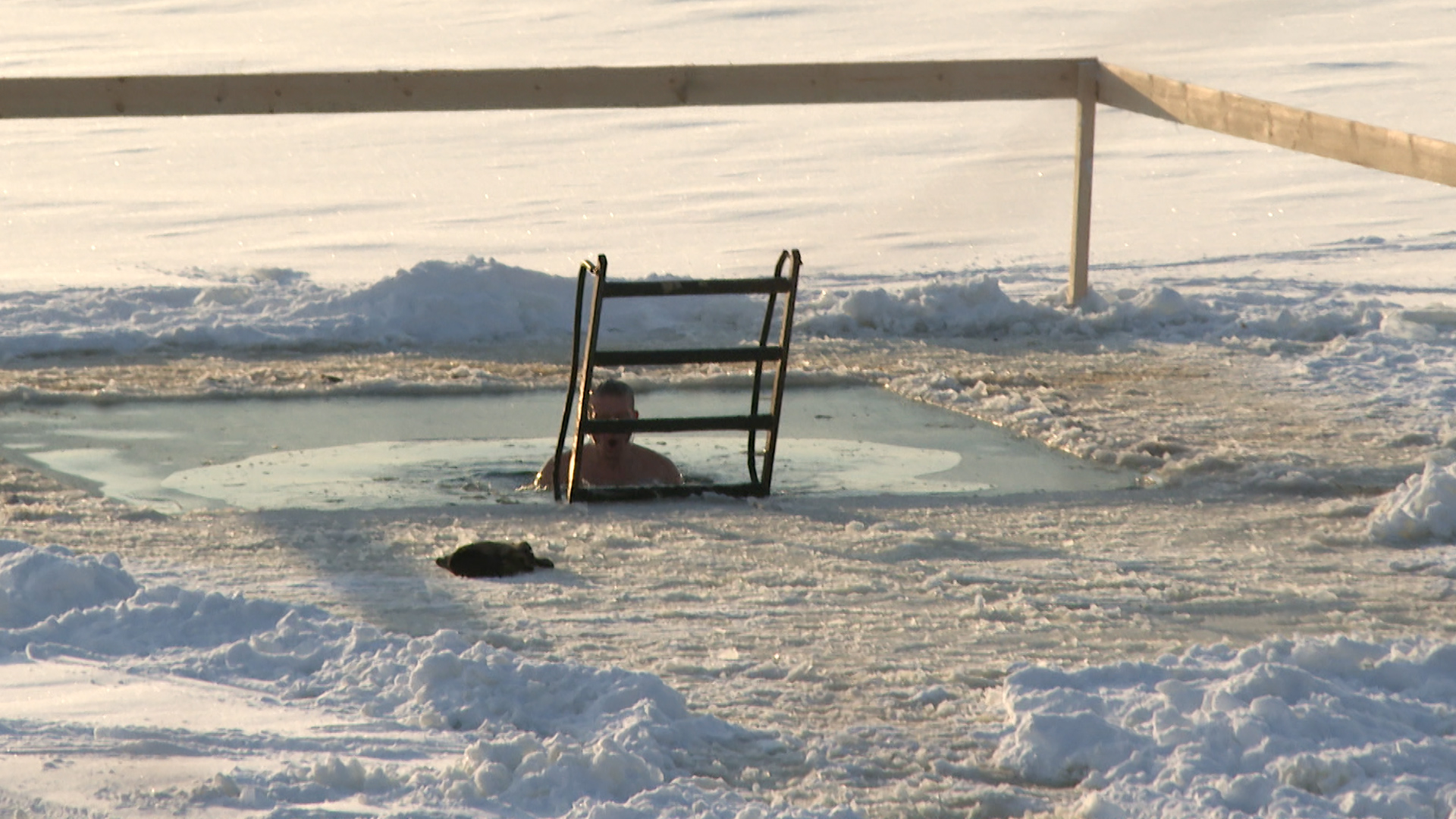 Прорубь для моржей смотреть онлайн